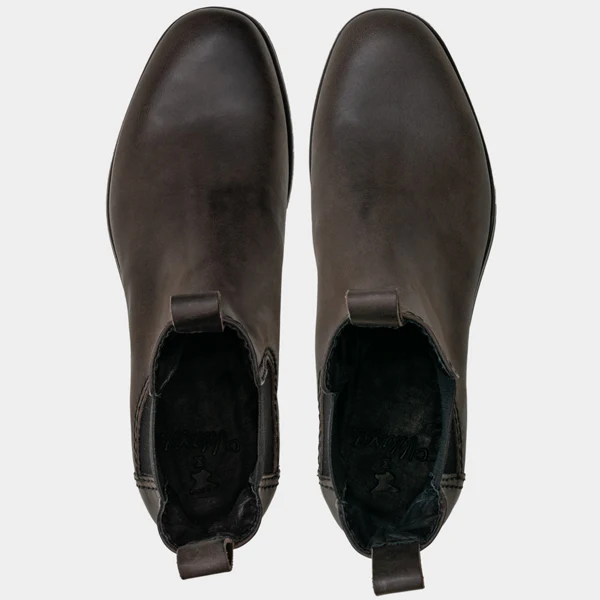 Scout - Image 6